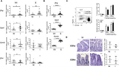Cytotoxic innate intraepithelial lymphocytes control early stages of Cryptosporidium infection